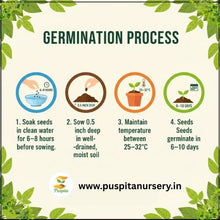 Load image into Gallery viewer, Puspita Nursery Round Priya Lou Seeds (10gm Pack) – High Yield Hybrid Round Bottle Gourd Variety | Fast Germination | Tender &amp; Tasty Fruits | Ideal for Home Garden and Farm Cultivation
