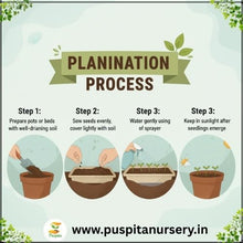 Load image into Gallery viewer, Puspita Nursery Sweet William Flower Seeds – Premium Quality Colorful Blooms | Easy to Grow Garden Seeds for Pots, Terrace, Balcony &amp; Outdoor Gardening
