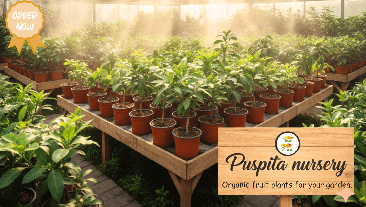 Puspita nursery Home page fruit plant