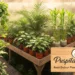 Puspita nursery Home page indoor plant