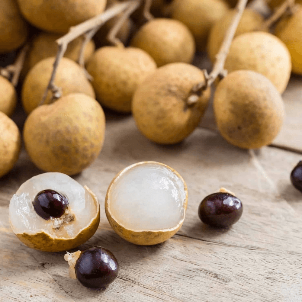 Thai Longan Plant – Premium Sweet Longan Tree for Home Gardens | Grow Delicious and Fragrant Tropical Fruit - Image 2