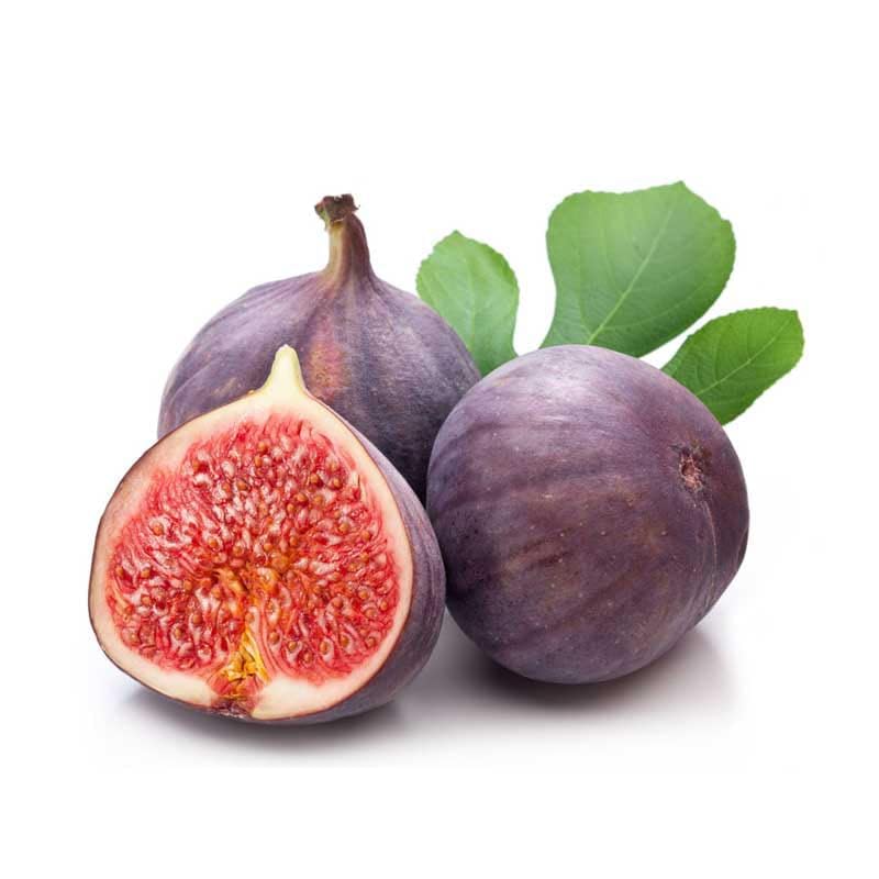 Fig (Anjeer) Plant – Sweet & Nutritious Fruit Tree for Home Gardens | Grow Fresh Figs Year-Round. - Image 5