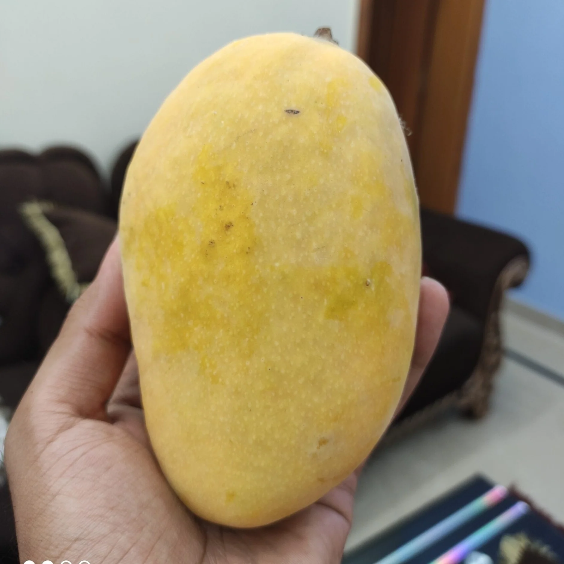 Puspita Nursery Dashari (Dussehri) Mango Plant - Image 2