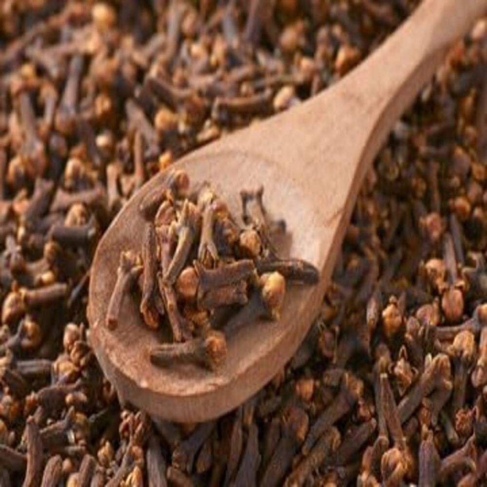Puspita Nursrey Cloves Plant - Image 2