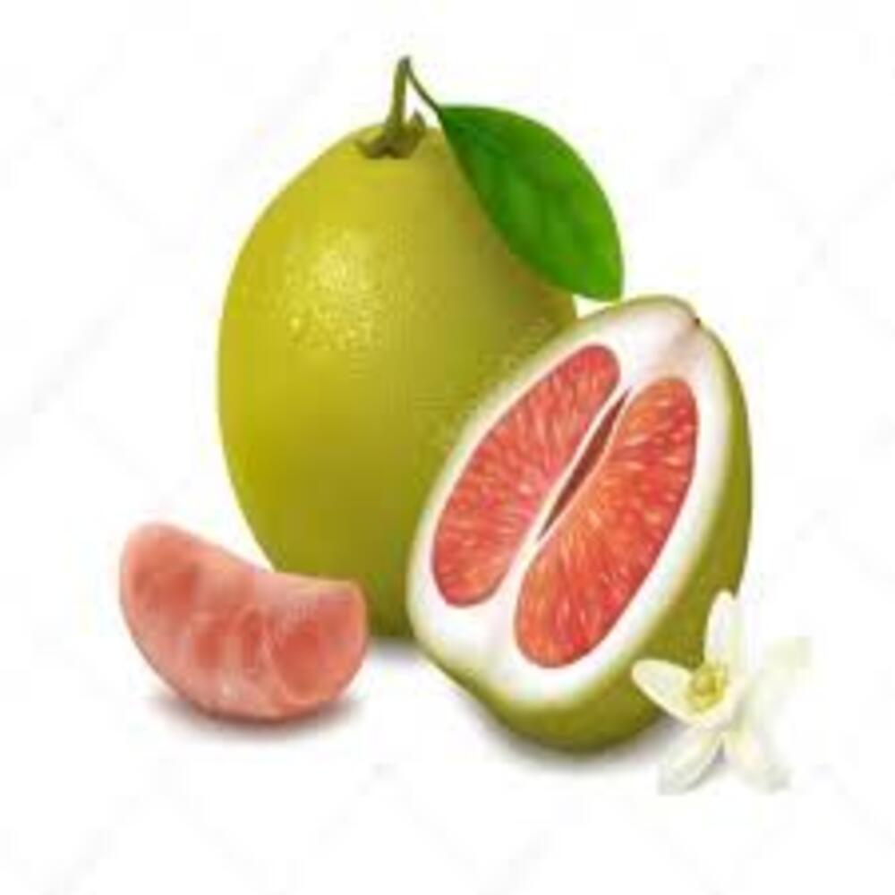 Puspita Nursery Batabi Lemon Plant, Fresh Citrus Tree for Home Garden - Image 3