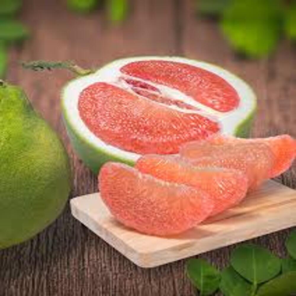 Puspita Nursery Batabi Lemon Plant, Fresh Citrus Tree for Home Garden - Image 5