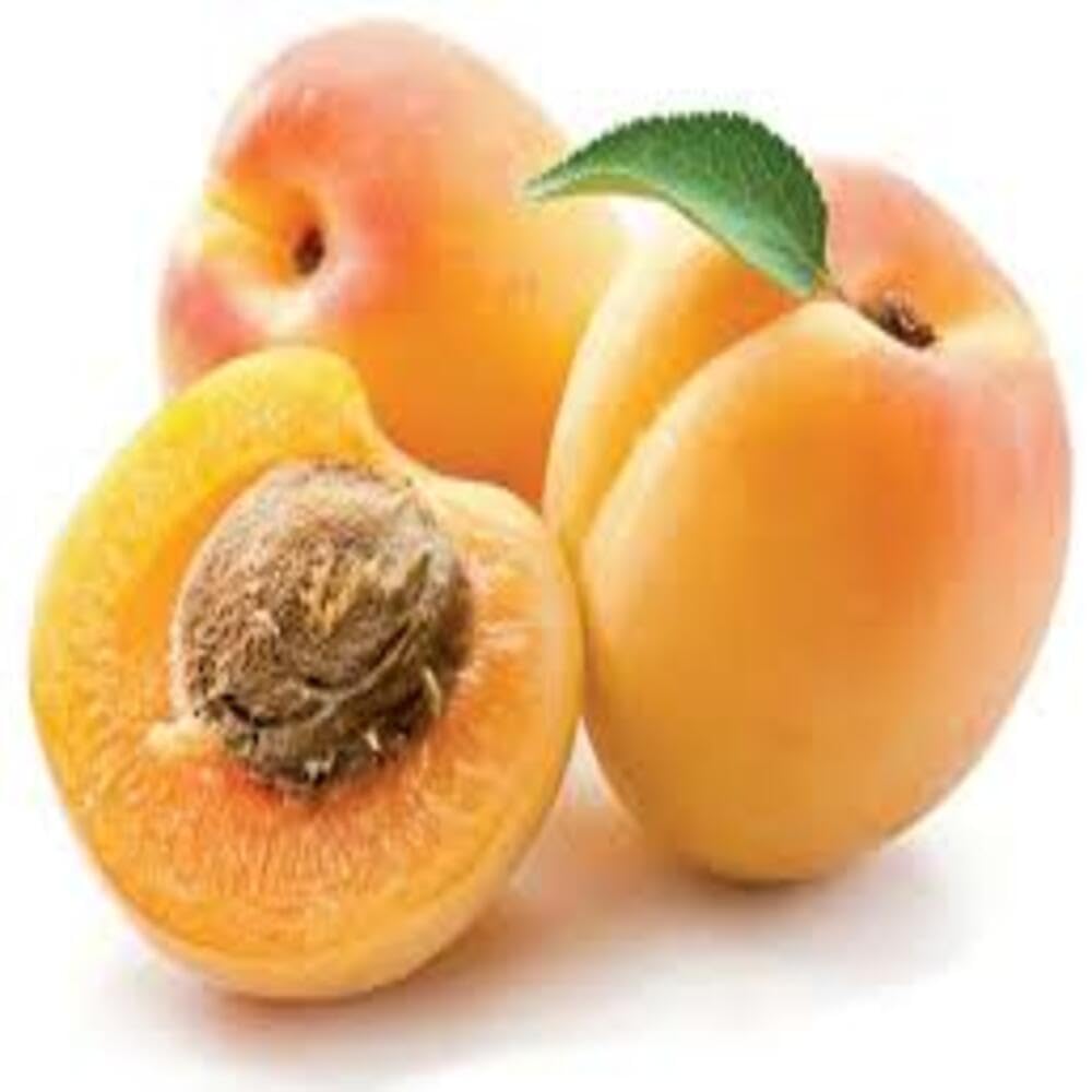 Puspita Nursery Apricot Fruit Plant - Image 3