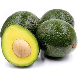 Puspita Nursery’s Exclusive: Rare Dwarf Hass Avocado Plant for Small Gardens